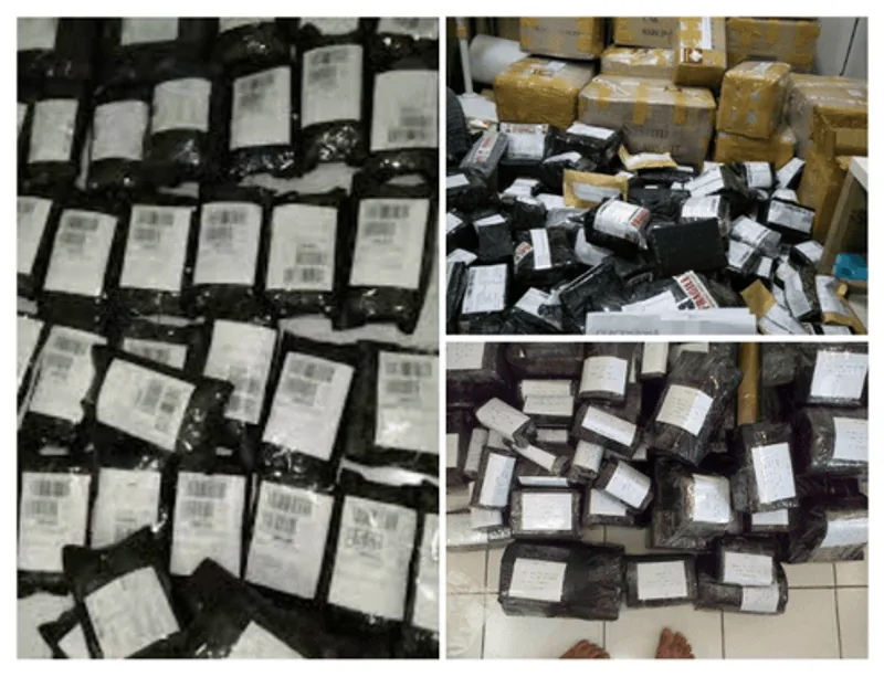 Ratusan paket Teh Kumis Kucing siap dikirim setiap hari